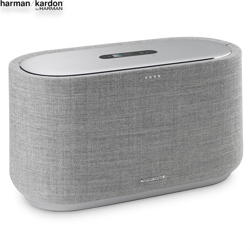 Loa Harman Kardon Citation 500 8